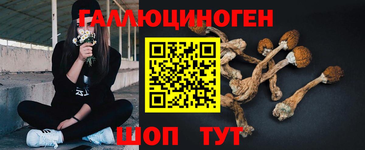 Галлюциногенные грибы ЛСД Черкесск