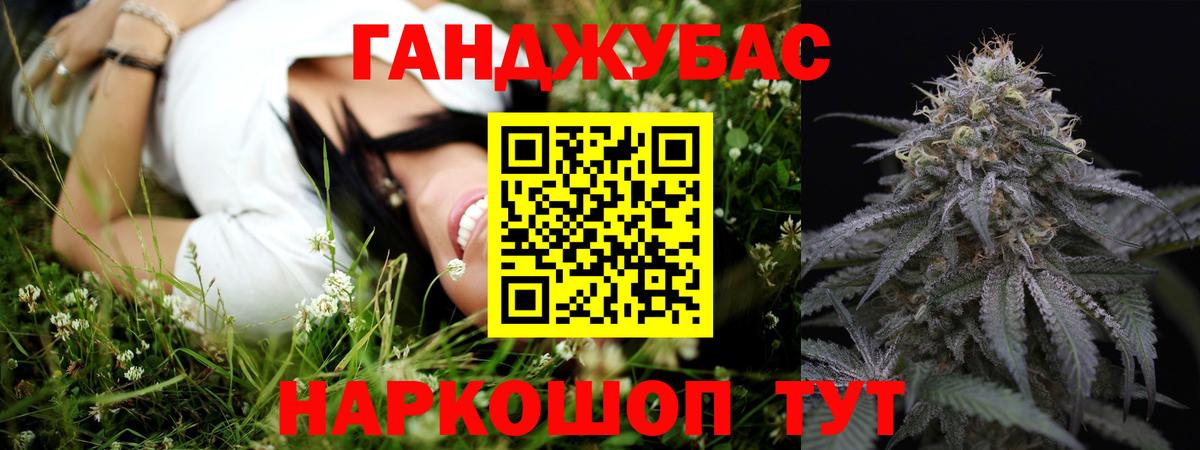 Марихуана сатива Черкесск